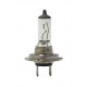Лампа галогенная H7 12V 55W PX26d, Neolux N499